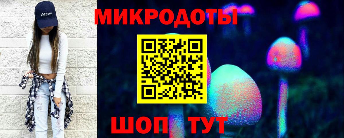 Карачаевск  Псилоцибиновые грибы Cubensis  Вход с VPN 